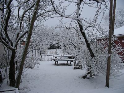 La neige au jardin